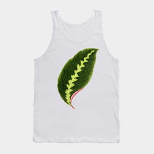 Calathea Warscewiczii - Flore des serres et des jardin de l’Europe Tank Top